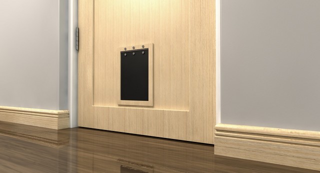 Cat Flap Installation Sidcup, DA15