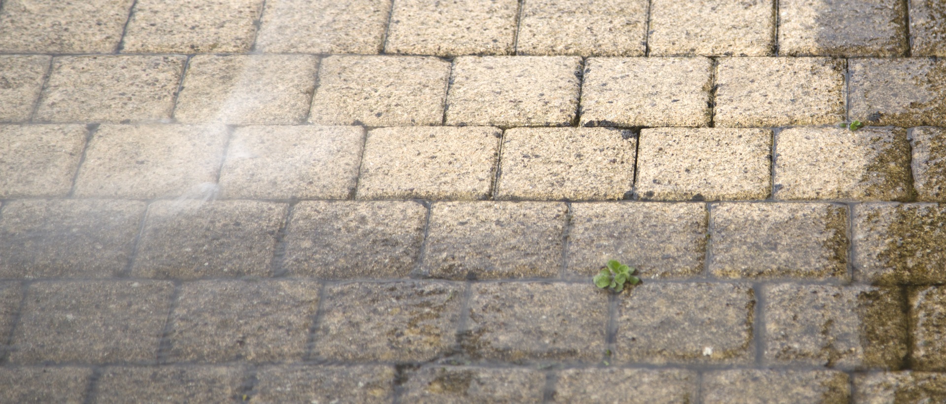 flagging and patios DA15