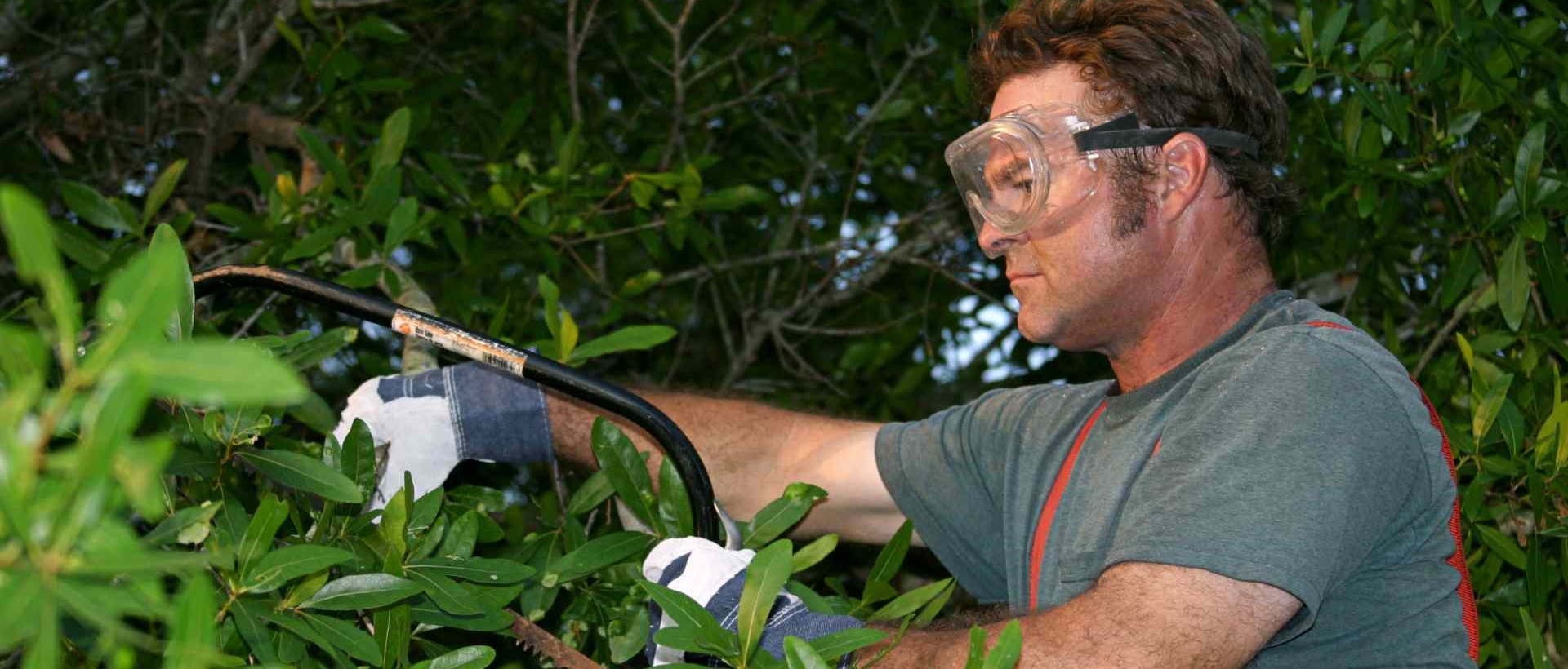 garden clearance DA15